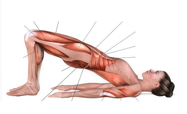 Lifting pelvien pour perdre du poids